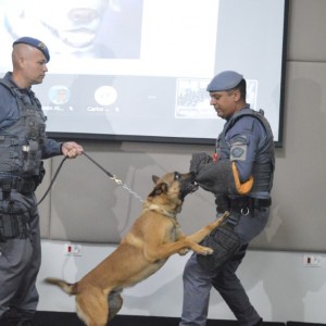 Com apoio do Baep, Energisa treina leituristas para prevenir ataques de cães nas ruas